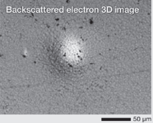 Microscop Electronic cu scanare Benchtop
