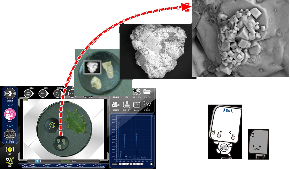 Microscop Electronic cu scanare Benchtop