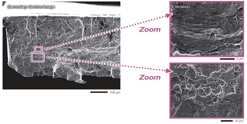 Microscop Electronic cu scanare Benchtop