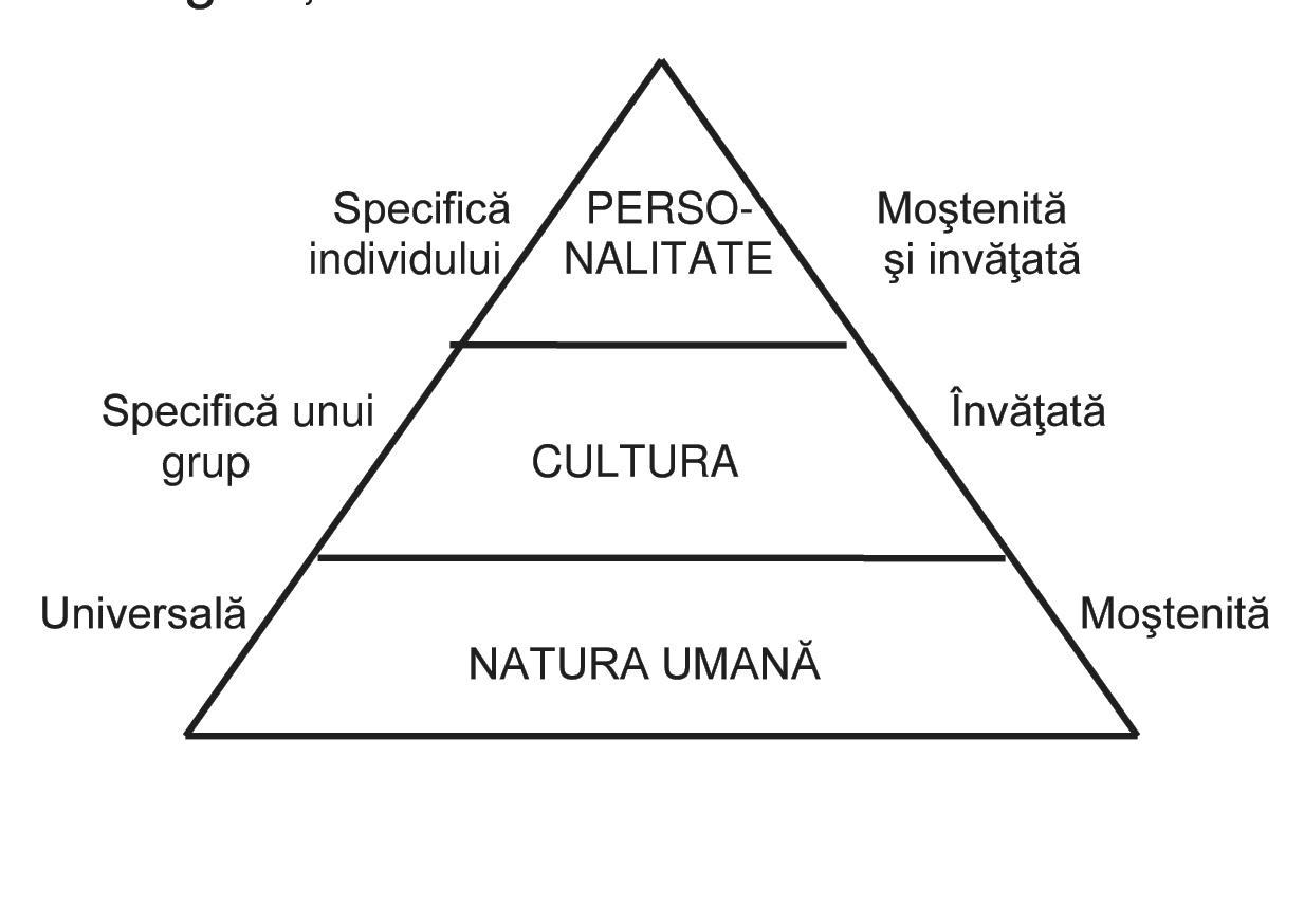 Figura 1 - Trei nivele ierarhice ale programării