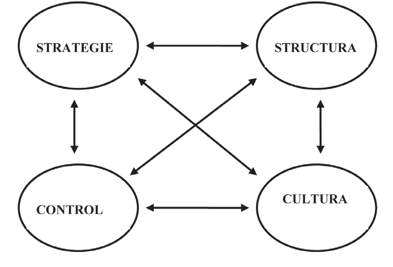 Figura 3 - Relațiile dintre strategie, structură, control și cultură